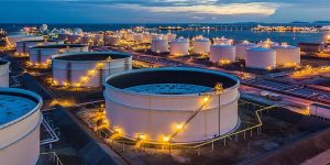 WhatsApp Image 2025-01-22 at 11.43.28 (3)